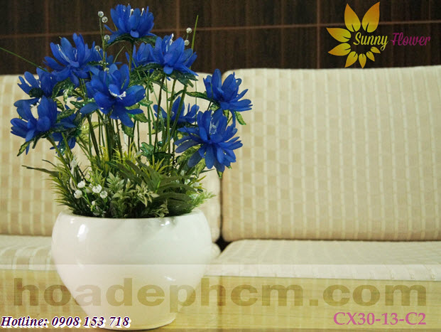 Hoa pha le Bong xanh hoadephcmcom